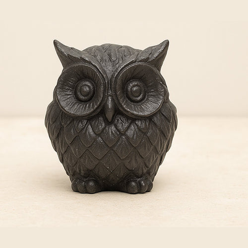 Hibou noir